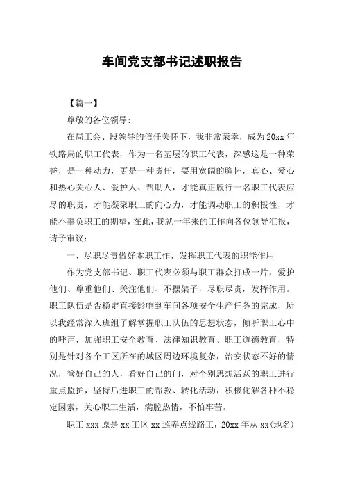 车间党支部书记述职报告