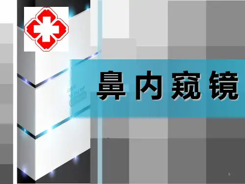 鼻内窥镜PPT课件