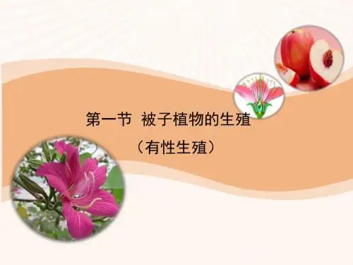 2019冀少版八年级生物下册《有性生殖》课件