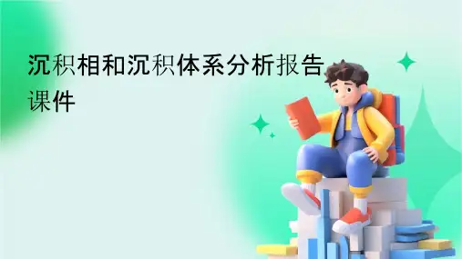沉积相和沉积体系分析报告课件