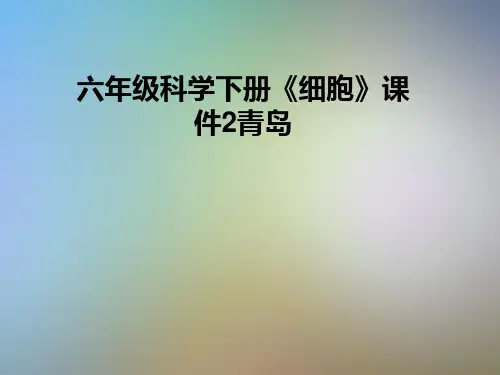 六年级科学下册《细胞》课件2青岛