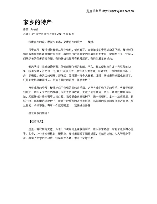 家乡的特产 2