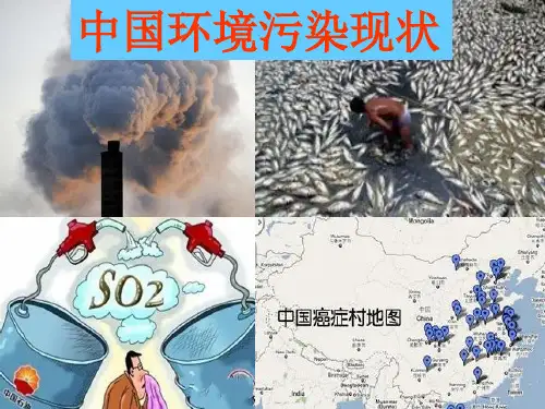 中国环境污染(卢广经典图片集)分解