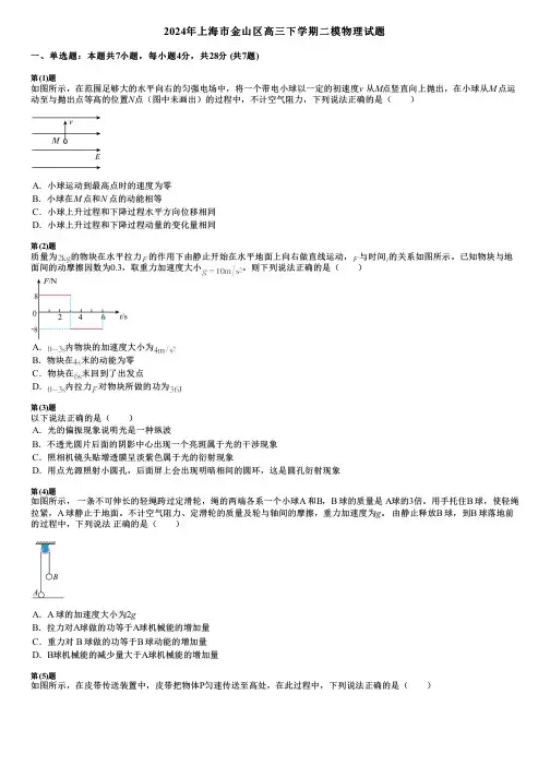 2024年上海市金山区高三下学期二模物理试题