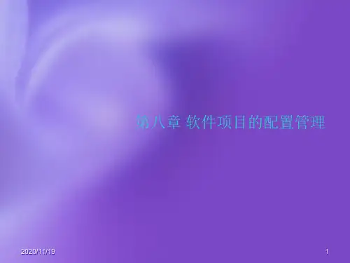 软件项目的配置管理1