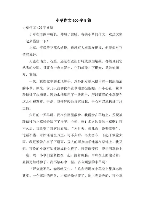 小草作文400字9篇