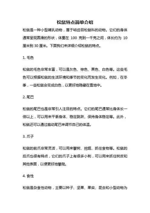 松鼠特点简单介绍