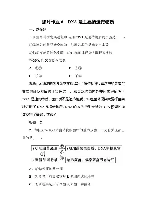 2019-2020学年人教版 必修二 DNA是主要遗传物质 作业