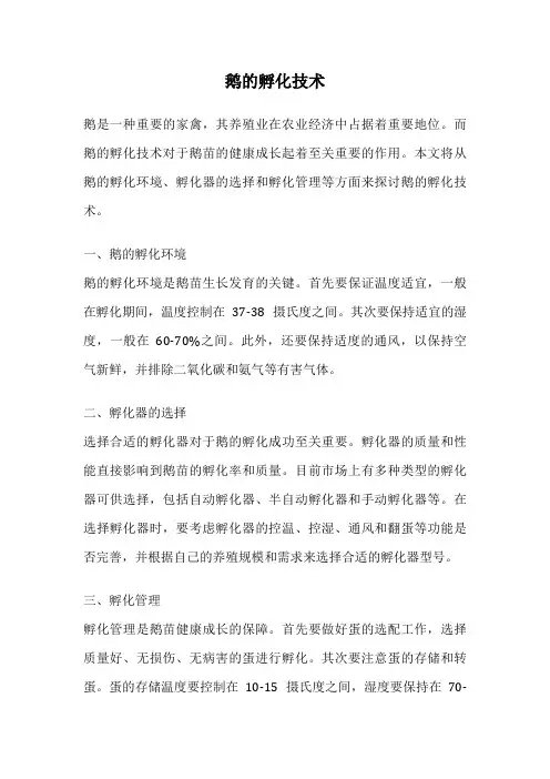 鹅的孵化技术