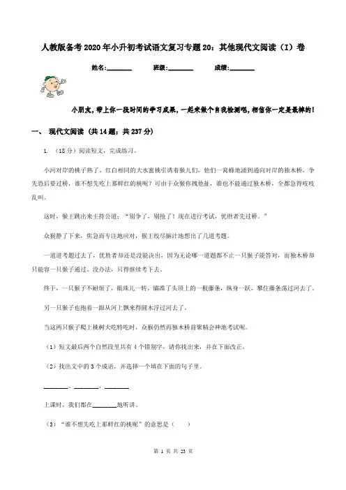 人教版备考2020年小升初考试语文复习专题20：其他现代文阅读(I)卷