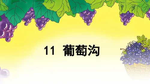 新编人教部编版小学二年级语文上册《葡萄沟》优质教学课件ppt