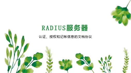 RADIUS服务器