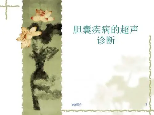 胆囊疾病超声诊断  ppt课件