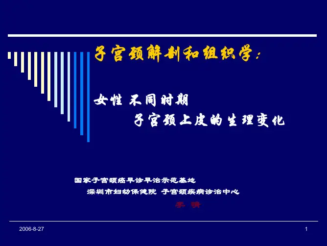 子宫颈组织学及不同时期的生理变化