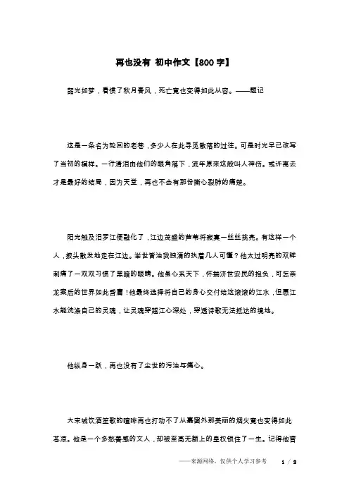 再也没有 初中作文【800字】_1