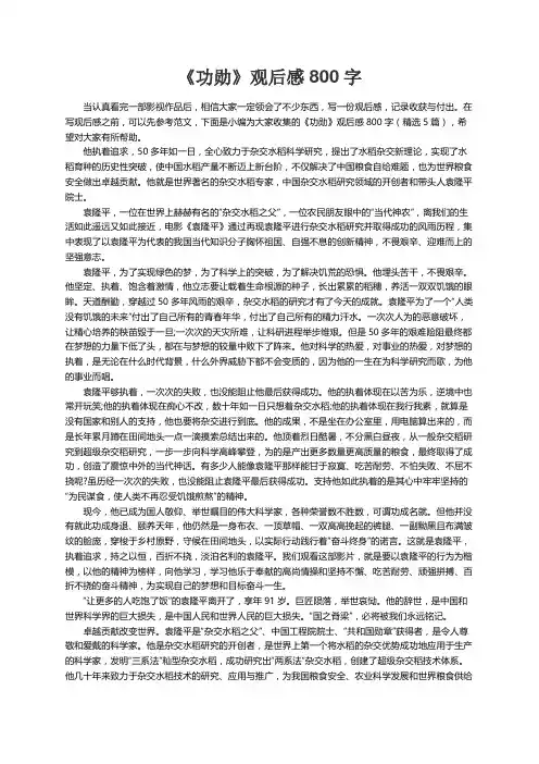 《功勋》观后感800字（精选5篇）