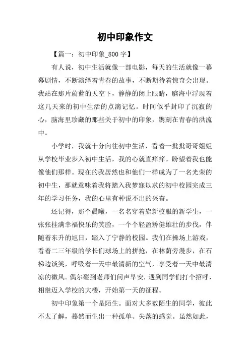 初中印象作文