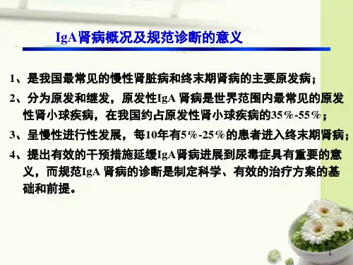 IgA肾病中医辨证分型的实践指南ppt课件