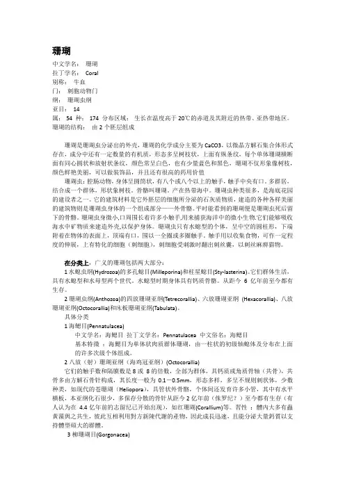 珊瑚