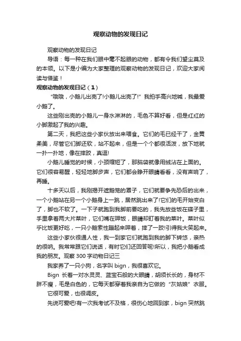 观察动物的发现日记