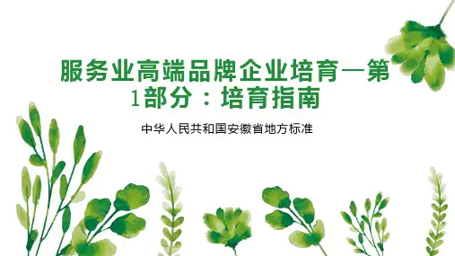 服务业高端品牌企业培育—第1部分：培育指南