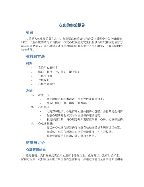 心脏的实验报告