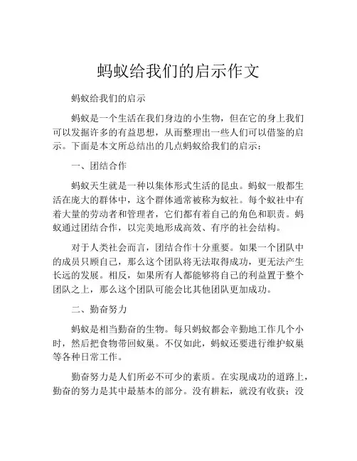 蚂蚁给我们的启示作文