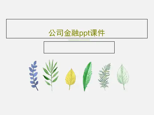 公司金融ppt课件51页PPT