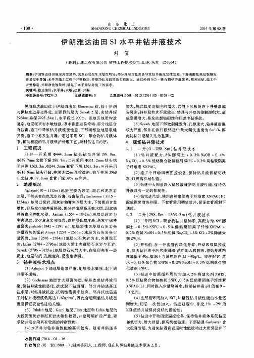 伊朗雅达油田S1水平井钻井液技术