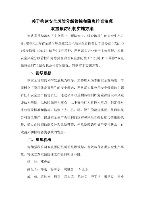 双重预防机制工作实施方案