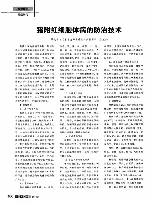 猪附红细胞体病的防治技术