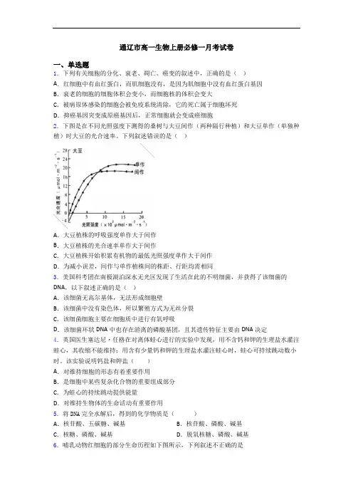 通辽市高一生物上册必修一月考试卷