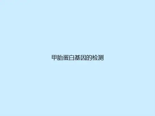 甲胎蛋白基因的检测