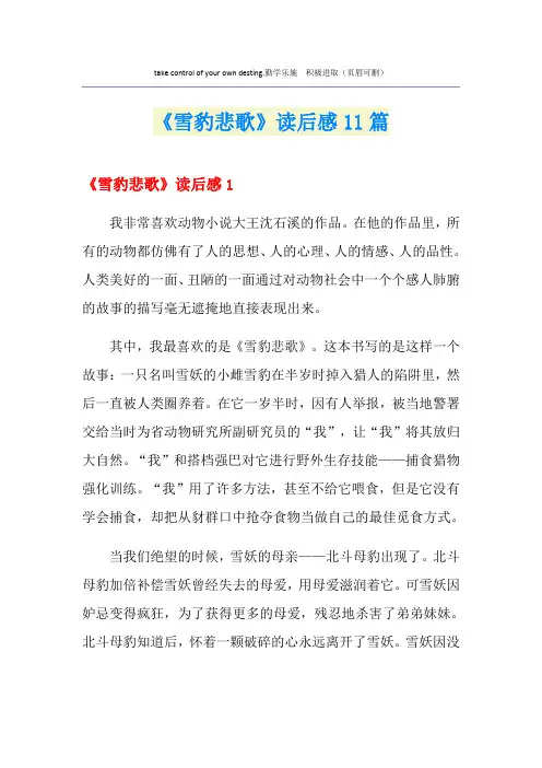 《雪豹悲歌》读后感11篇
