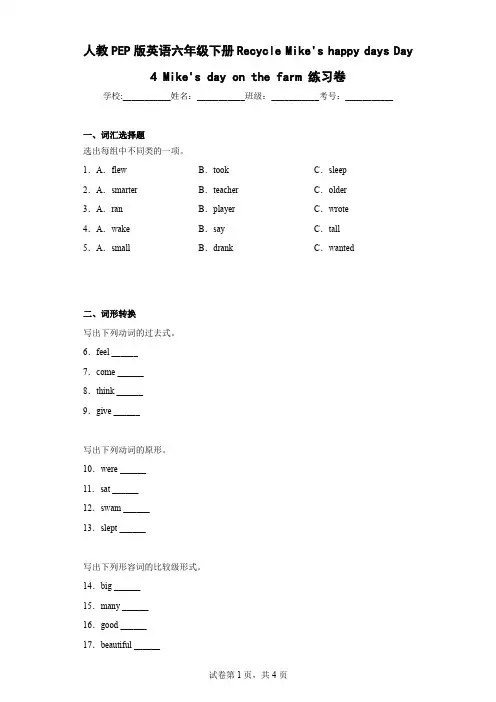 人教PEP版英语六年级下册RecycleMike'shappydaysDay