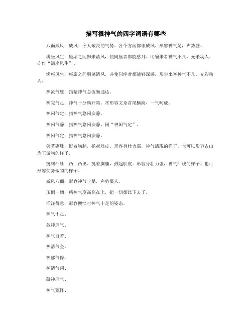 描写很神气的四字词语有哪些
