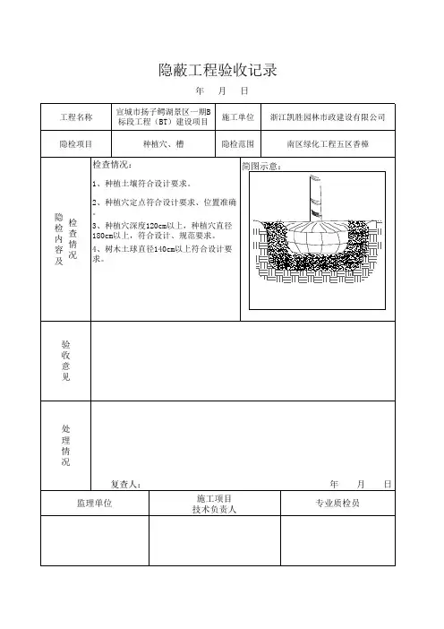苗木栽植树穴隐蔽