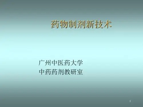 医院常见药物介绍——第20章_药物制剂新技术