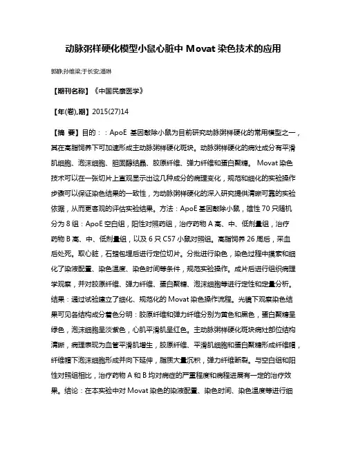 动脉粥样硬化模型小鼠心脏中 Movat染色技术的应用