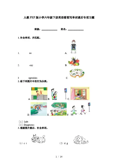 人教PEP版小学六年级下册英语看图写单词课后专项习题