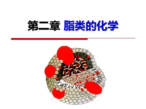 第二章  脂类的化学