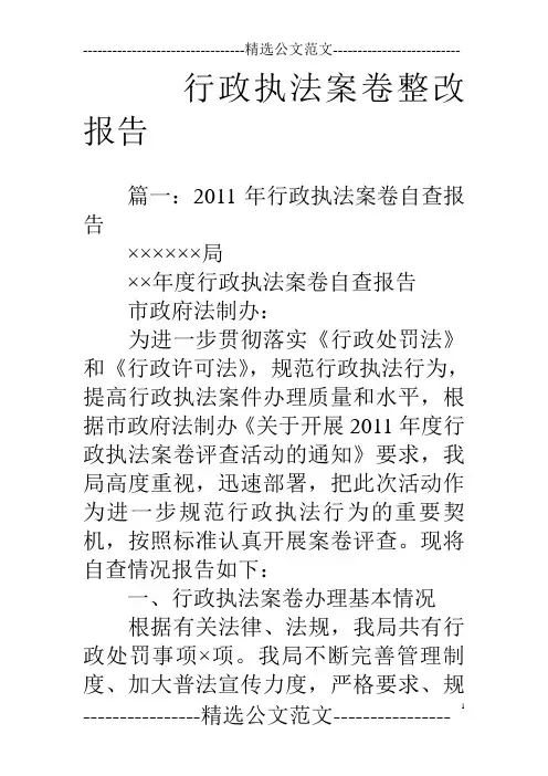 行政执法案卷整改报告