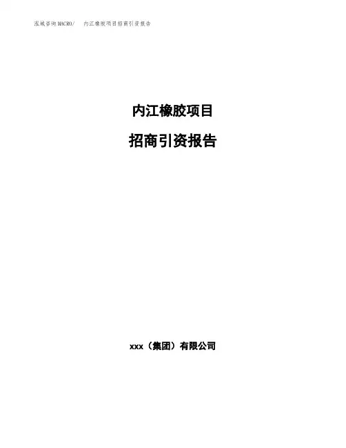 内江橡胶项目招商引资报告