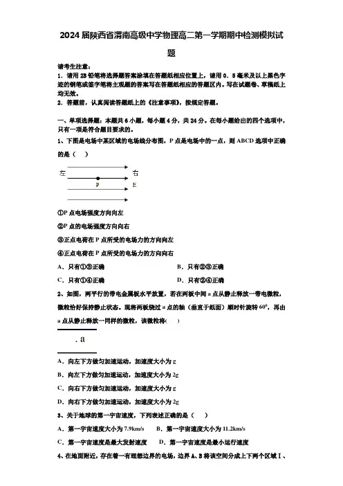2024届陕西省渭南高级中学物理高二第一学期期中检测模拟试题含解析