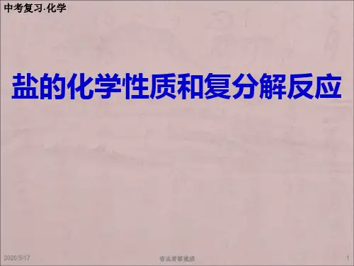 盐的化学性质和复分解反应