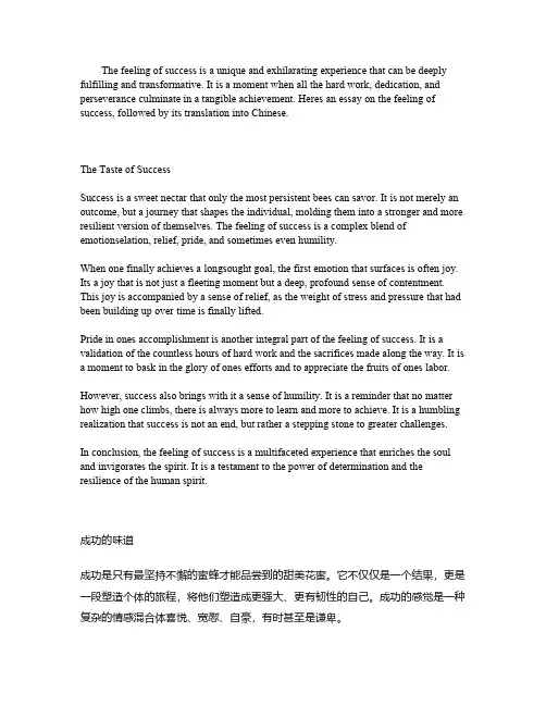 成功的感受英语作文带翻译