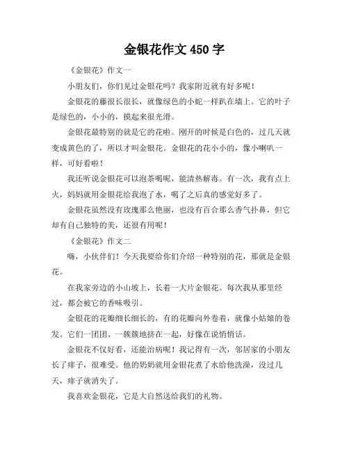 金银花作文450字