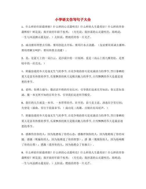 小学语文仿写句：小学语文仿写句式精选小升初必练句式