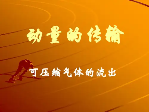 第六章 可压缩性气体的流出