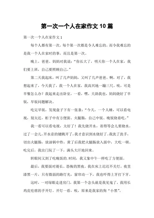 第一次一个人在家作文10篇
